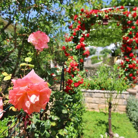 Appartamento Andjelka-6 By Interhome