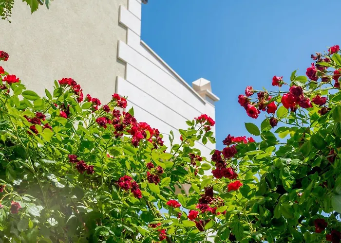 Andjelka-6 By Interhome