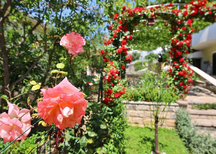 Appartamento Andjelka-6 By Interhome